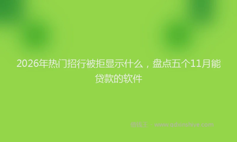 2026年热门招行被拒显示什么，盘点五个11月能贷款的软件