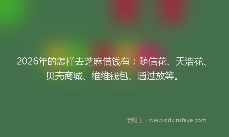 2026年的怎样去芝麻借钱有：随信花、天浩花、贝壳商城、维维钱包、通过放等。