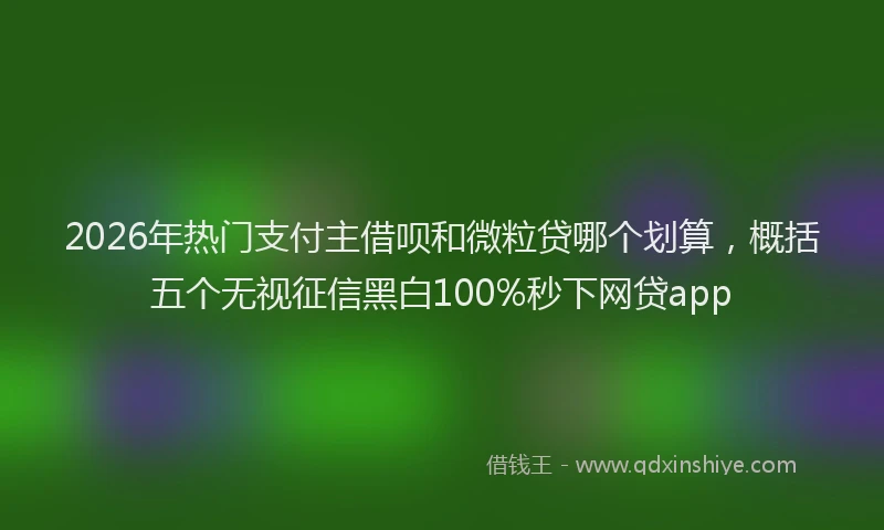 2026年热门支付主借呗和微粒贷哪个划算，概括五个无视征信黑白100%秒下网贷app