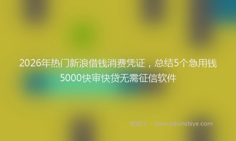 2026年热门新浪借钱消费凭证，总结5个急用钱5000快审快贷无需征信软件