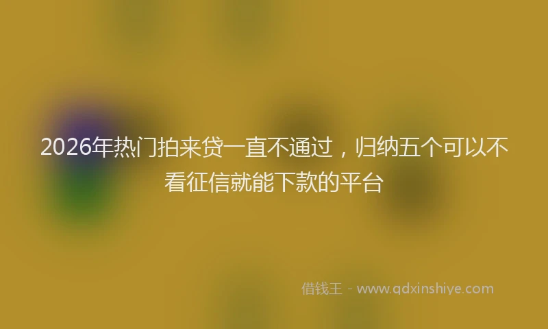 2026年热门拍来贷一直不通过，归纳五个可以不看征信就能下款的平台
