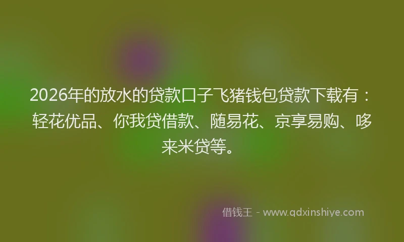 2026年的放水的贷款口子飞猪钱包贷款下载有：轻花优品、你我贷借款、随易花、京享易购、哆来米贷等。