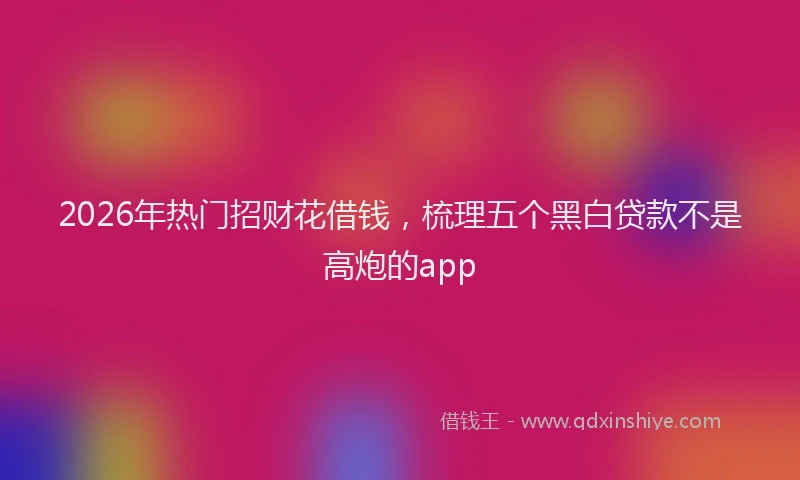 2026年热门招财花借钱，梳理五个黑白贷款不是高炮的app