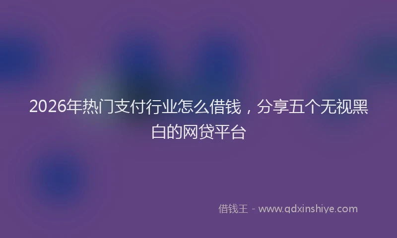 2026年热门支付行业怎么借钱，分享五个无视黑白的网贷平台