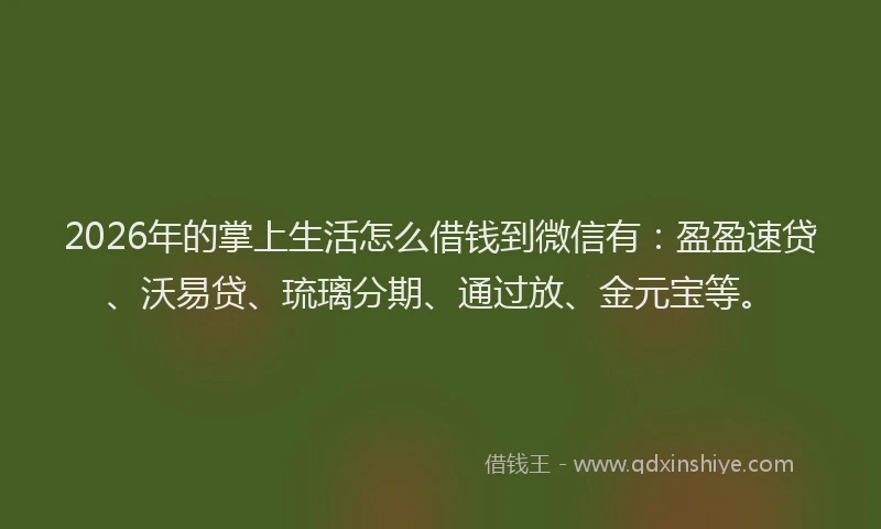 2026年的掌上生活怎么借钱到微信有：盈盈速贷、沃易贷、琉璃分期、通过放、金元宝等。