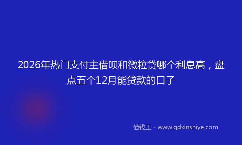 2026年热门支付主借呗和微粒贷哪个利息高，盘点五个12月能贷款的口子