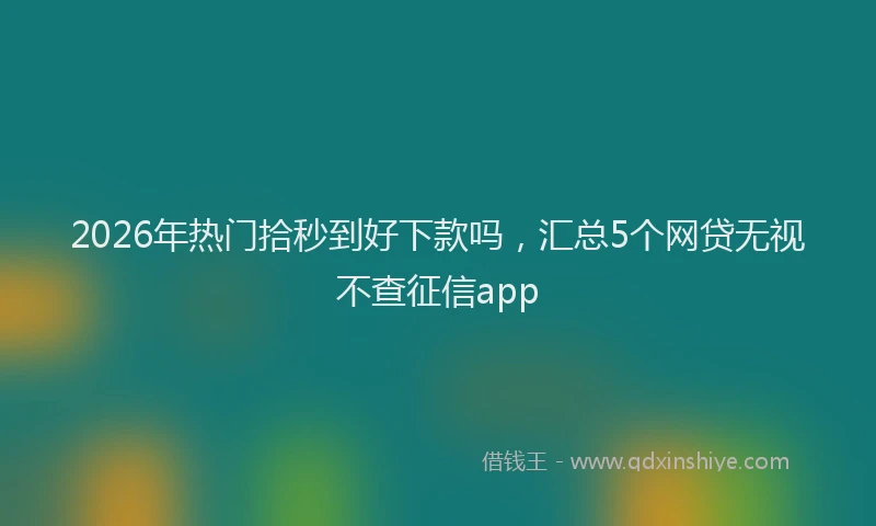 2026年热门拾秒到好下款吗，汇总5个网贷无视不查征信app
