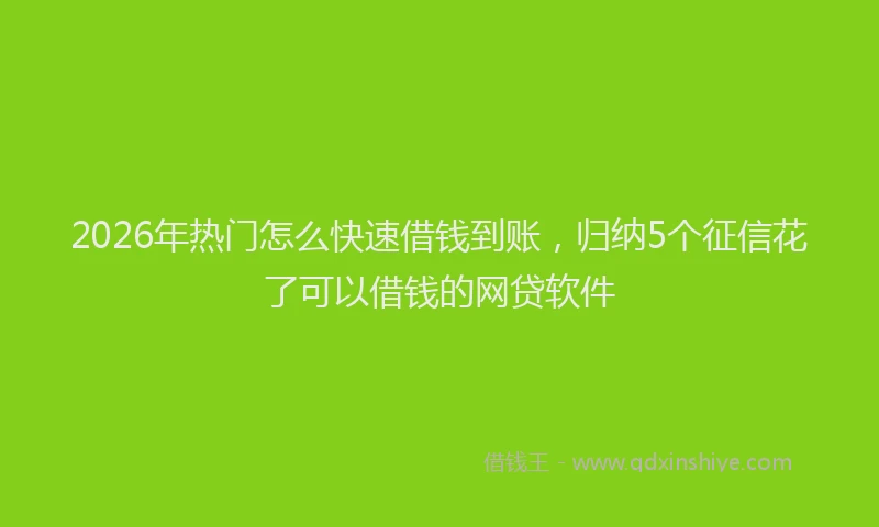 2026年热门怎么快速借钱到账，归纳5个征信花了可以借钱的网贷软件