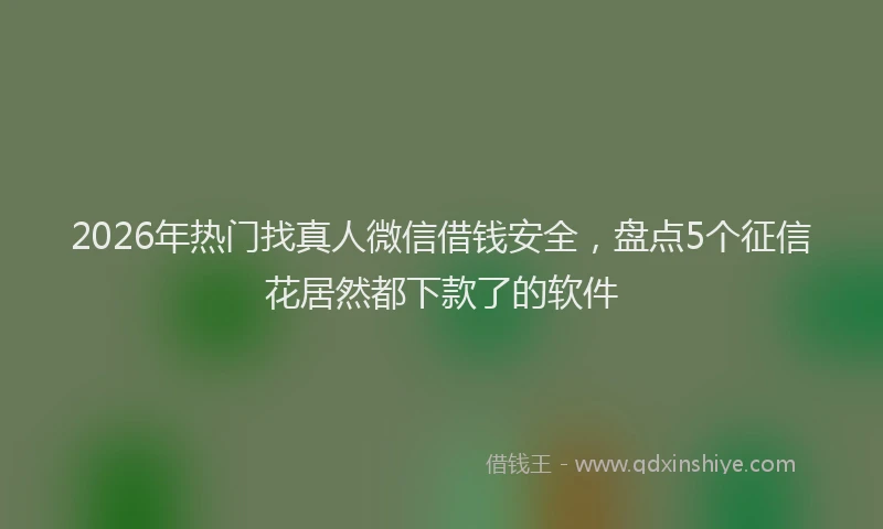 2026年热门找真人微信借钱安全，盘点5个征信花居然都下款了的软件
