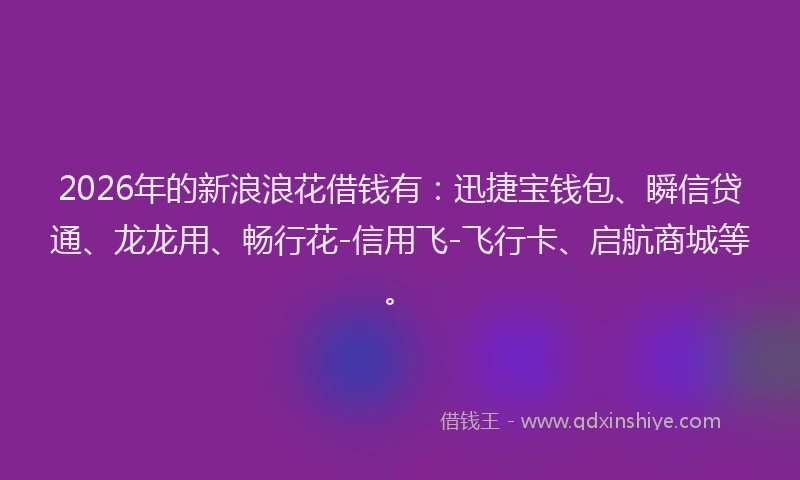 2026年的新浪浪花借钱有：迅捷宝钱包、瞬信贷通、龙龙用、畅行花-信用飞-飞行卡、启航商城等。