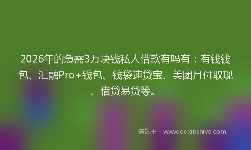 2026年的急需3万块钱私人借款有吗有：有钱钱包、汇融Pro+钱包、钱袋速贷宝、美团月付取现、借贷易贷等。
