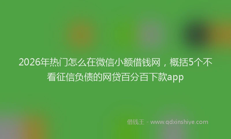 2026年热门怎么在微信小额借钱网，概括5个不看征信负债的网贷百分百下款app