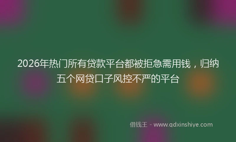 2026年热门所有贷款平台都被拒急需用钱，归纳五个网贷口子风控不严的平台