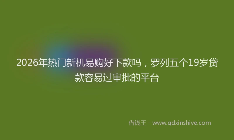 2026年热门新机易购好下款吗，罗列五个19岁贷款容易过审批的平台