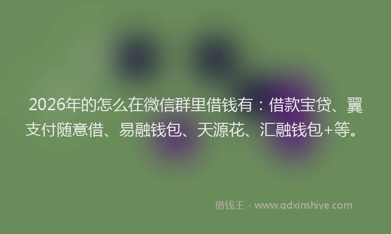 2026年的怎么在微信群里借钱有：借款宝贷、翼支付随意借、易融钱包、天源花、汇融钱包+等。