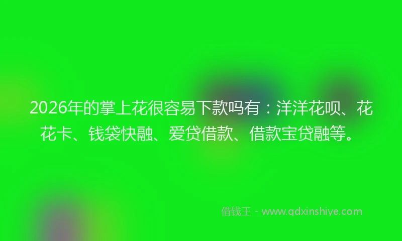 2026年的掌上花很容易下款吗有:洋洋花呗、花花卡、钱袋快融、爱贷借款、借款宝贷融等。