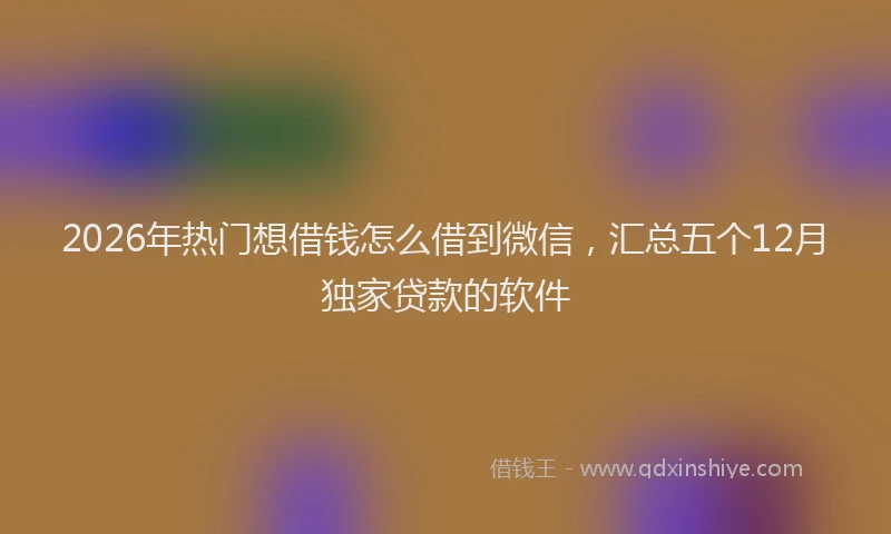 2026年热门想借钱怎么借到微信，汇总五个12月独家贷款的软件