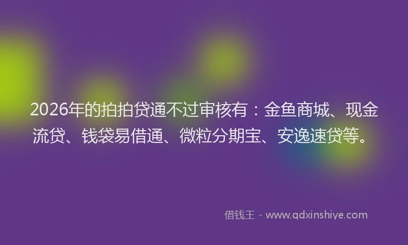 2026年的拍拍贷通不过审核有：金鱼商城、现金流贷、钱袋易借通、微粒分期宝、安逸速贷等。