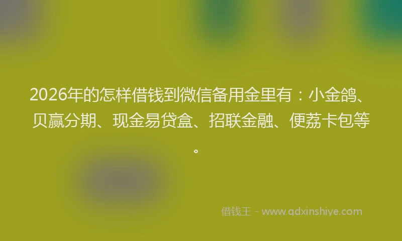 2026年的怎样借钱到微信备用金里有：小金鸽、贝赢分期、现金易贷盒、招联金融、便荔卡包等。