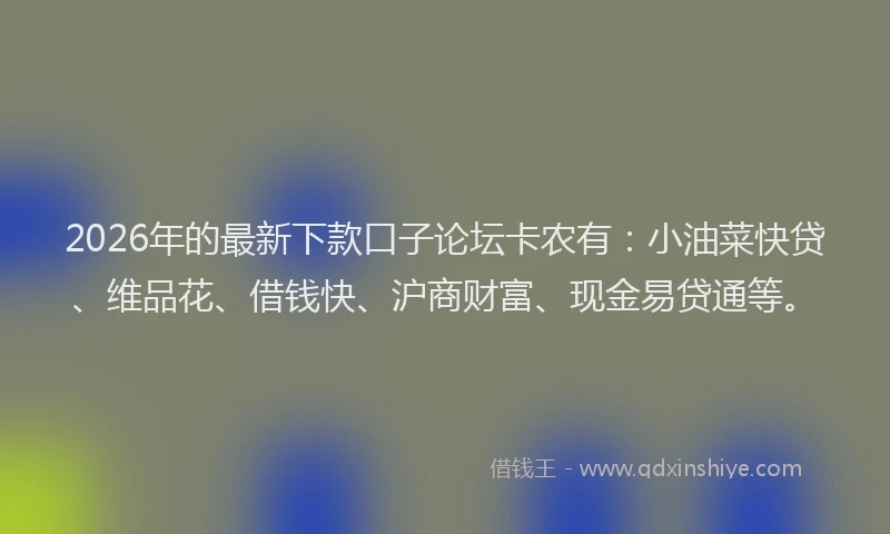 2026年的最新下款口子论坛卡农有：小油菜快贷、维品花、借钱快、沪商财富、现金易贷通等。