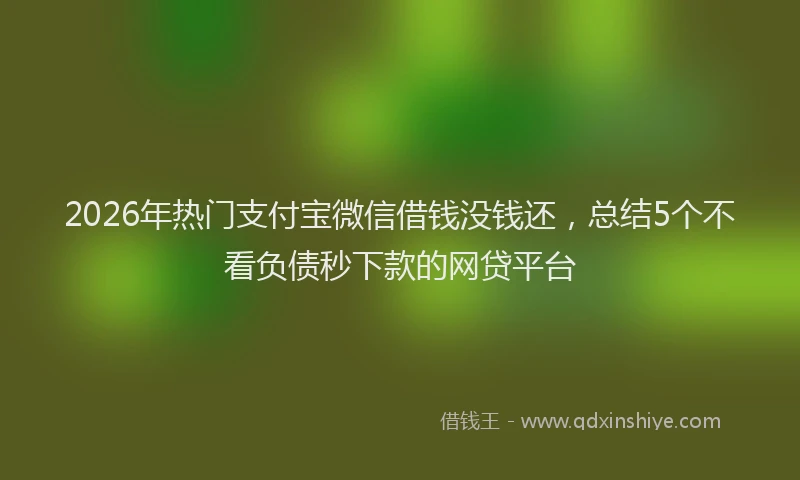 2026年热门支付宝微信借钱没钱还,总结5个不看负债秒下款的网贷平台