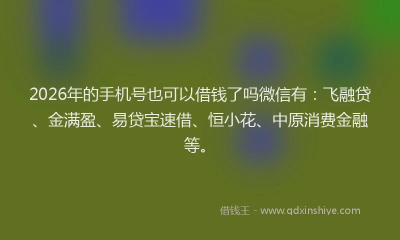 2026年的手机号也可以借钱了吗微信有:飞融贷、金满盈、易贷宝速借、恒小花、中原消费金融等。