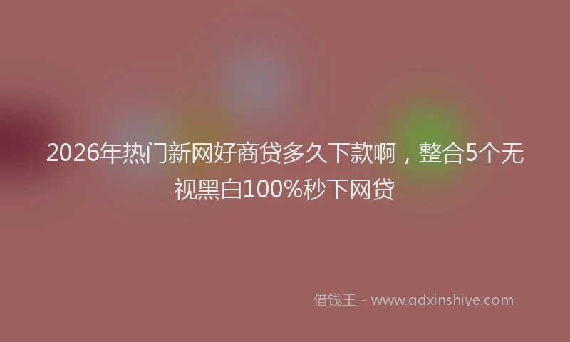 2026年热门新网好商贷多久下款啊，整合5个无视黑白100%秒下网贷
