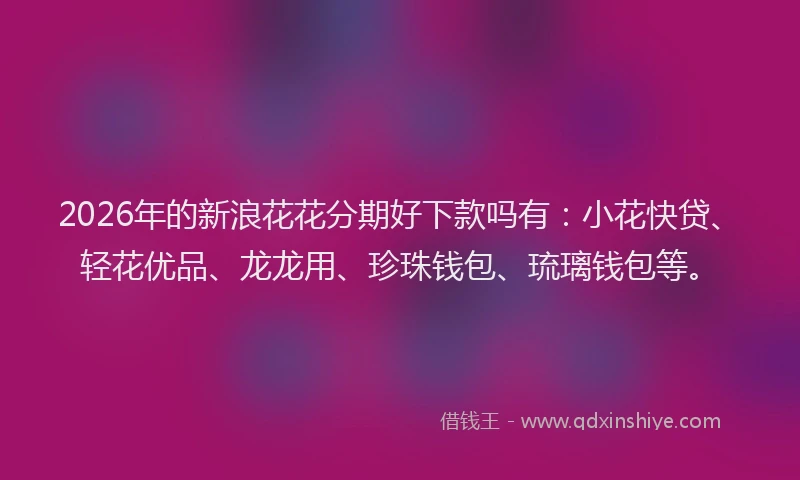 2026年的新浪花花分期好下款吗有：小花快贷、轻花优品、龙龙用、珍珠钱包、琉璃钱包等。