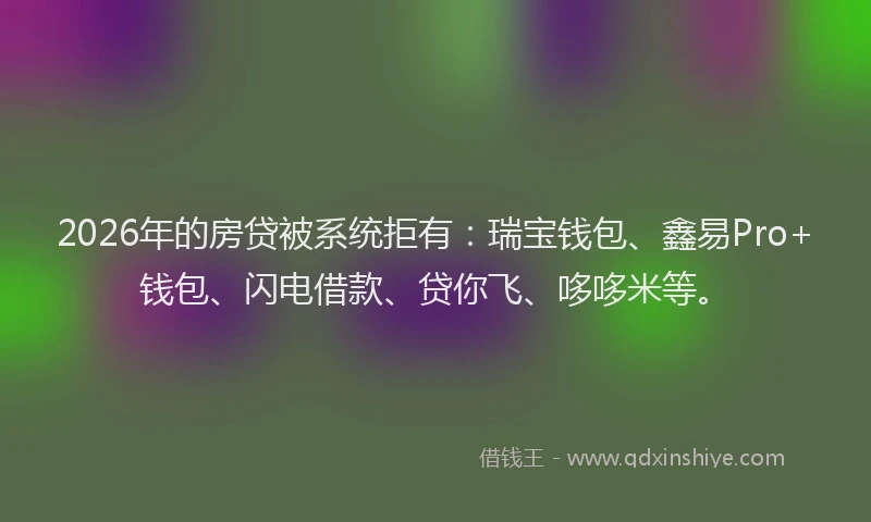 2026年的房贷被系统拒有：瑞宝钱包、鑫易Pro+钱包、闪电借款、贷你飞、哆哆米等。