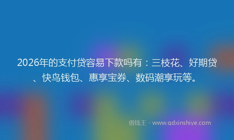 2026年的支付贷容易下款吗有：三枝花、好期贷、快鸟钱包、惠享宝券、数码潮享玩等。