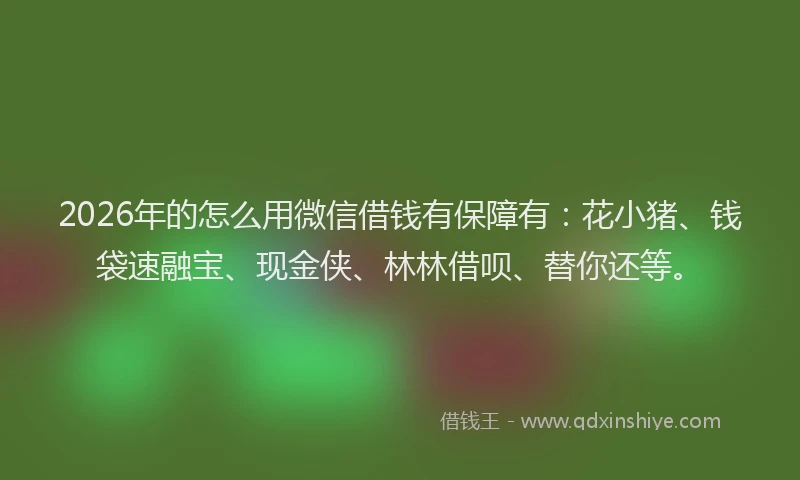 2026年的怎么用微信借钱有保障有：花小猪、钱袋速融宝、现金侠、林林借呗、替你还等。