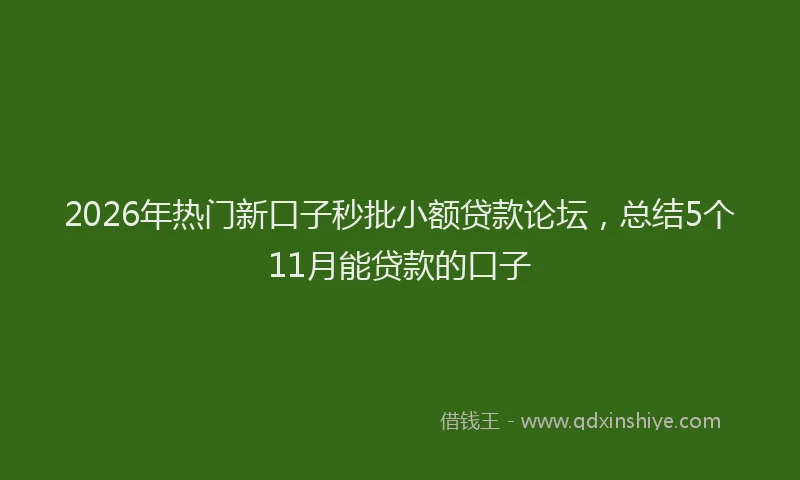2026年热门新口子秒批小额贷款论坛，总结5个11月能贷款的口子