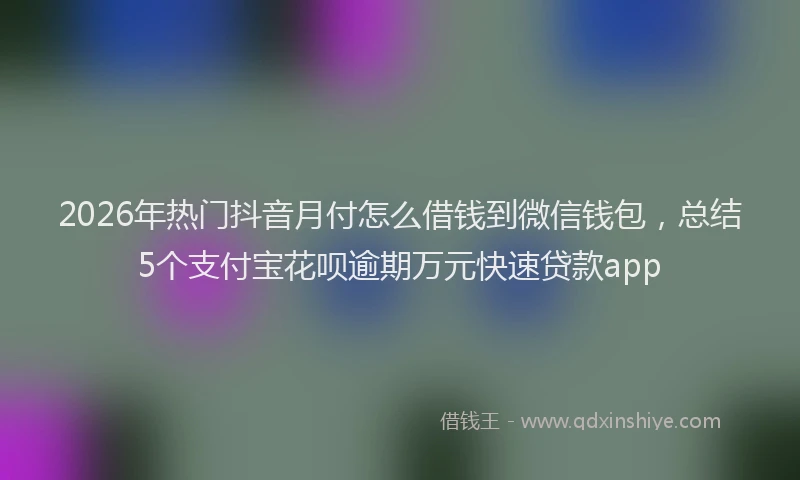 2026年热门抖音月付怎么借钱到微信钱包，总结5个支付宝花呗逾期万元快速贷款app