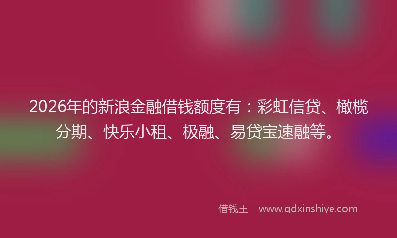 2026年的新浪金融借钱额度有：彩虹信贷、橄榄分期、快乐小租、极融、易贷宝速融等。