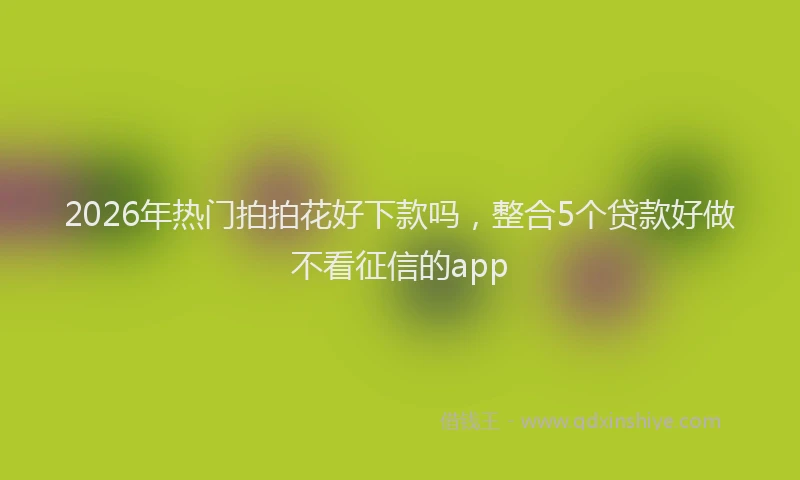 2026年热门拍拍花好下款吗,整合5个贷款好做不看征信的app