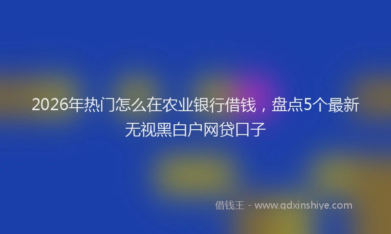 2026年热门怎么在农业银行借钱，盘点5个最新无视黑白户网贷口子