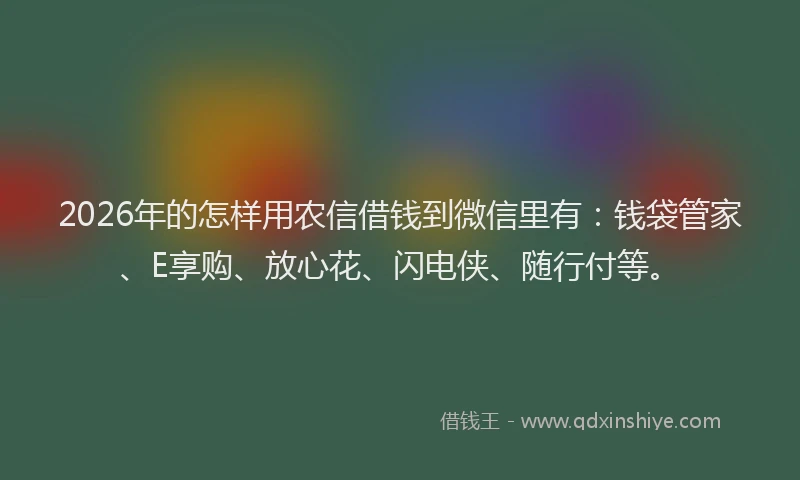 2026年的怎样用农信借钱到微信里有：钱袋管家、E享购、放心花、闪电侠、随行付等。