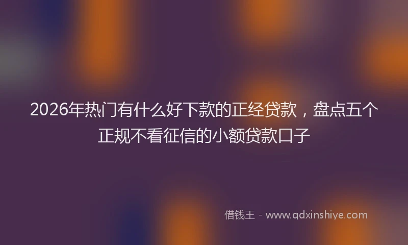 2026年热门有什么好下款的正经贷款，盘点五个正规不看征信的小额贷款口子