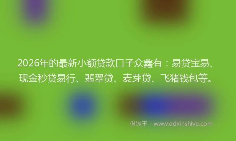 2026年的最新小额贷款口子众鑫有：易贷宝易、现金秒贷易行、翡翠贷、麦芽贷、飞猪钱包等。