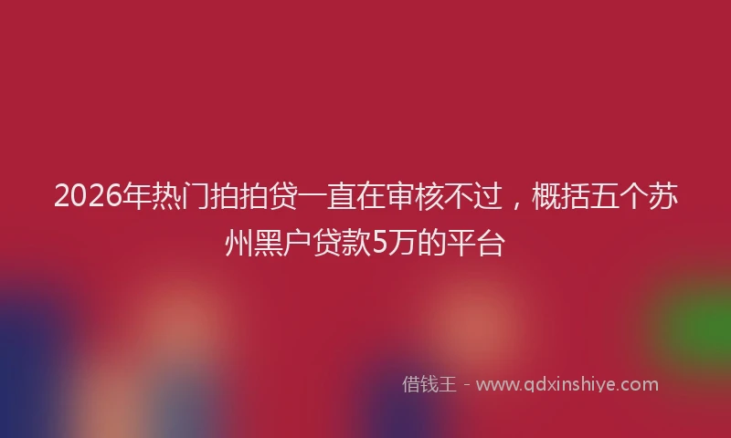 2026年热门拍拍贷一直在审核不过，概括五个苏州黑户贷款5万的平台