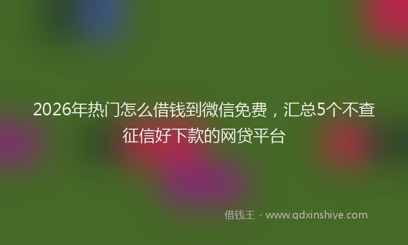 2026年热门怎么借钱到微信免费，汇总5个不查征信好下款的网贷平台