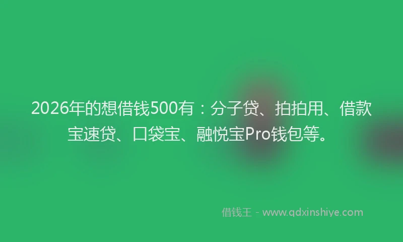 2026年的想借钱500有：分子贷、拍拍用、借款宝速贷、口袋宝、融悦宝Pro钱包等。