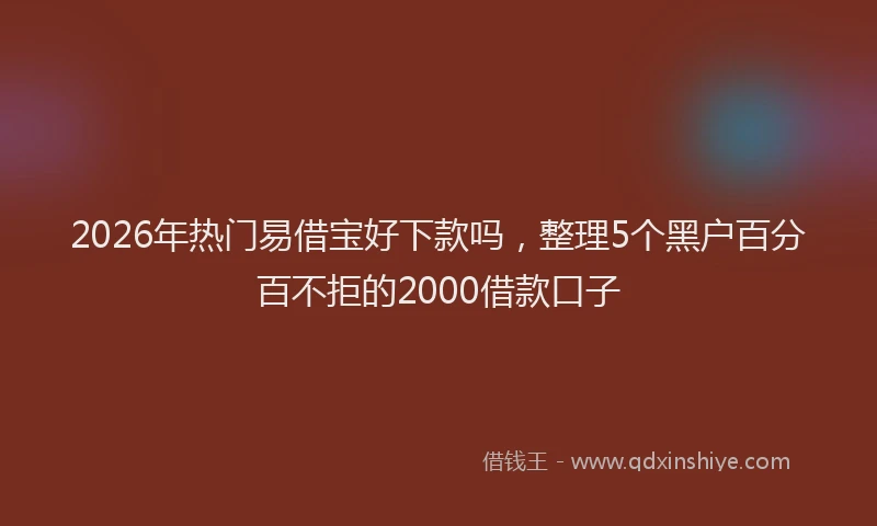 2026年热门易借宝好下款吗，整理5个黑户百分百不拒的2000借款口子