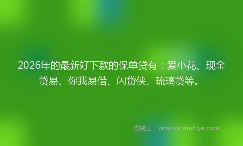 2026年的最新好下款的保单贷有:爱小花、现金贷易、你我易借、闪贷侠、琉璃贷等。