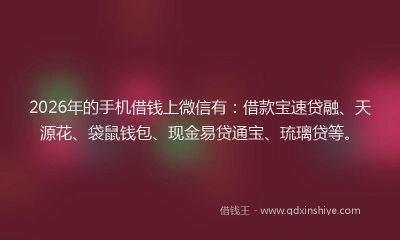 2026年的手机借钱上微信有：借款宝速贷融、天源花、袋鼠钱包、现金易贷通宝、琉璃贷等。