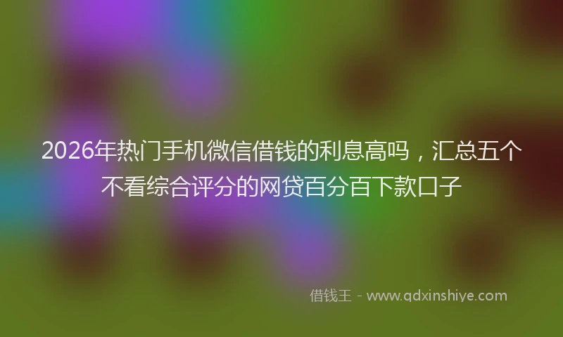 2026年热门手机微信借钱的利息高吗，汇总五个不看综合评分的网贷百分百下款口子