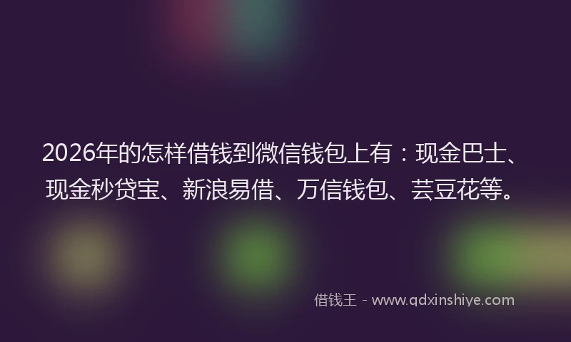 2026年的怎样借钱到微信钱包上有：现金巴士、现金秒贷宝、新浪易借、万信钱包、芸豆花等。
