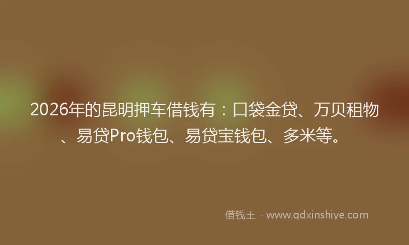 2026年的昆明押车借钱有:口袋金贷、万贝租物、易贷Pro钱包、易贷宝钱包、多米等。