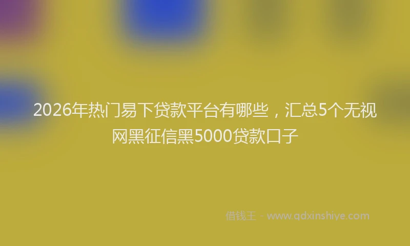 2026年热门易下贷款平台有哪些，汇总5个无视网黑征信黑5000贷款口子