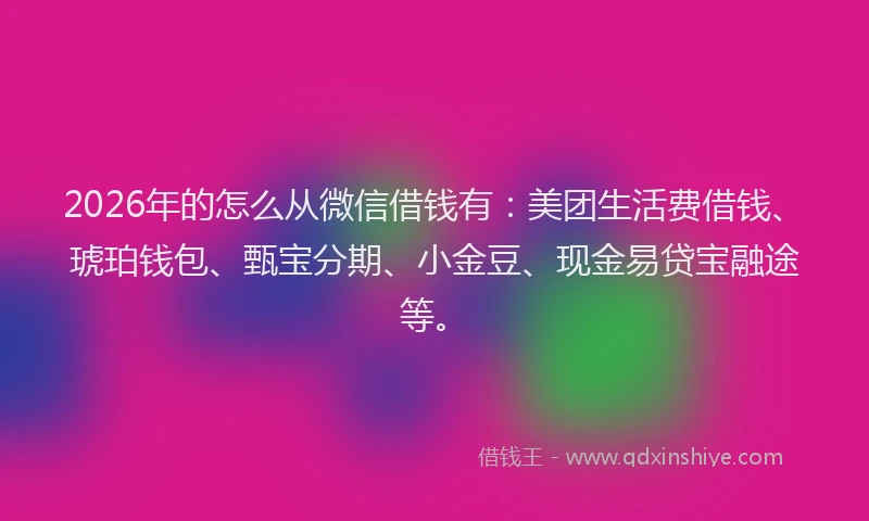 2026年的怎么从微信借钱有:美团生活费借钱、琥珀钱包、甄宝分期、小金豆、现金易贷宝融途等。